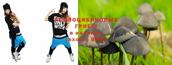 ешки Балахна